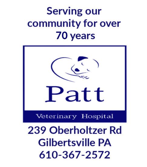 PattVet_Serving70