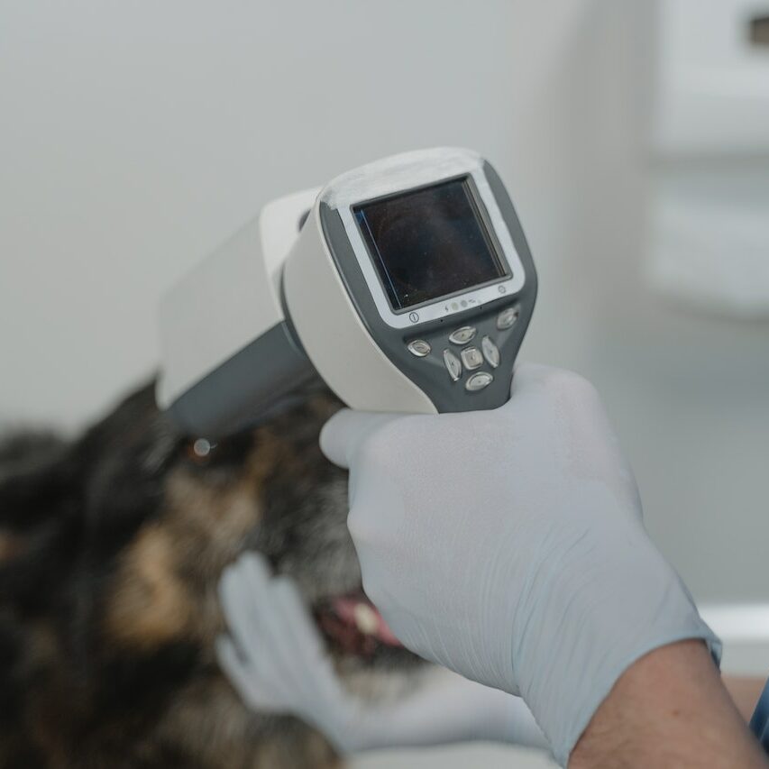 LaserTherapy